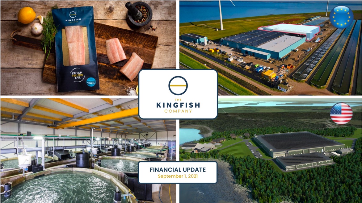 The Kingfish Company